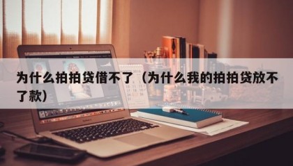 为什么拍拍贷借不了（为什么我的拍拍贷放不了款）