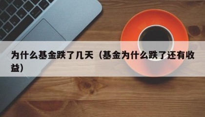 为什么基金跌了几天（基金为什么跌了还有收益）