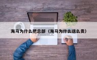 海马为什么把总部（海马为什么这么贵）