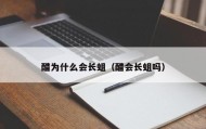 醋为什么会长蛆（醋会长蛆吗）
