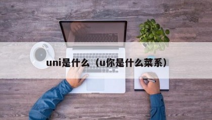 uni是什么（u你是什么菜系）
