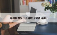 亳州何伟为什么辞职（何勇 亳州）