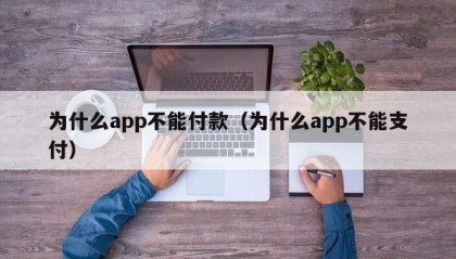 为什么app不能付款（为什么app不能支付）